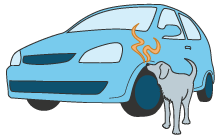 dog sniffing car